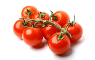 Domates Kokteyl Salkım